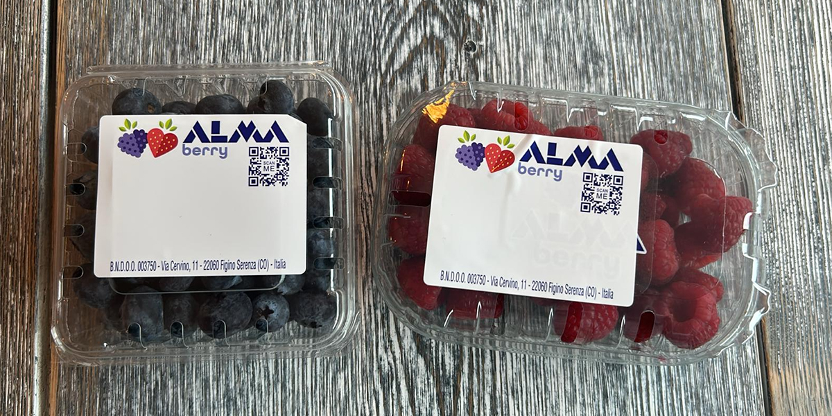Il Gruppo Gandolfo accelera la crescita: berry ed esotico guidano il futuro